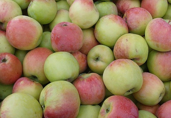 яблоки оптом в самаре