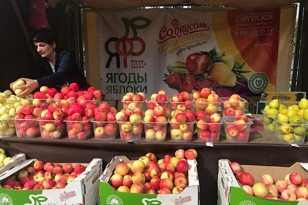 Яблоки «ЯФО» появились на городских ярмарках