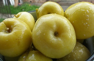 Моченые яблоки "АНТОНОВКА"